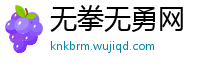 无拳无勇网